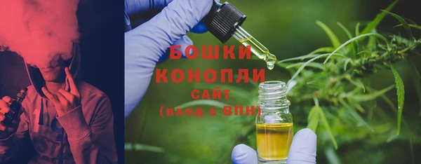 сатива Абинск