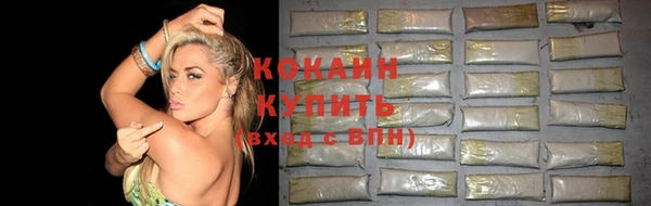 гидропоника Абаза