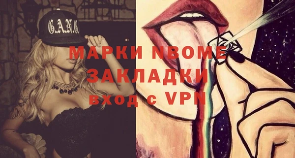 сатива Абинск