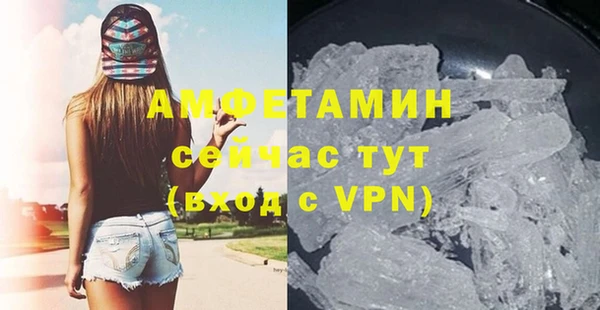 гидра Надым